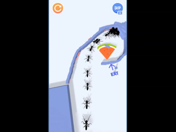 Ant Flow