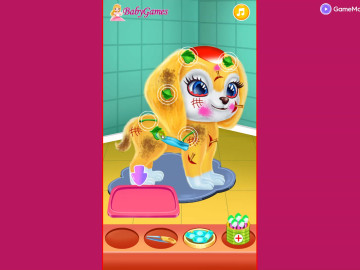 Baby Taylor Puppy Daycare