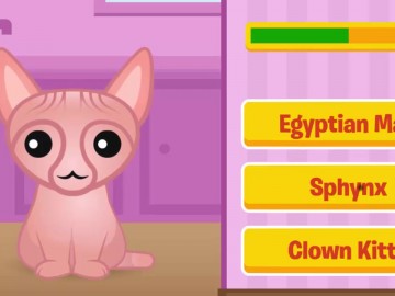 Guess the Kitty