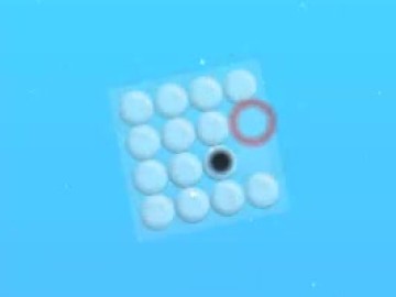 Pop It Fidget 3D