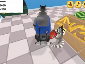 Raccoon Retail
