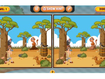Spot 5 Differences Deserts
